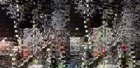 brandweer zaagt omgevallen boom om