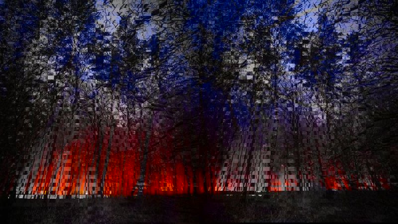 De nacht valt, het wordt donker. Tussen de bomen zie je de vlammenzee. 
